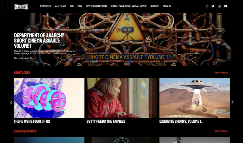 cms development services